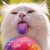 :iconrudekitty: