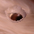 :iconrudovich: