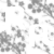 :iconrudyaloe: