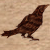 :iconruebird:
