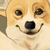 :iconrueless: