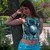 :iconruewolfe: