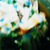 :iconruf-87: