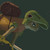 :iconrufe7: