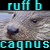 :iconRuffBCagnus: