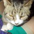 :iconruffianlover02: