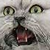 :iconrufi-oh-no: