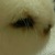 :iconrufy73: