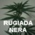 :iconrugiadanera: