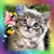 :iconrugiadina:
