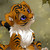 :iconruizcasrb: