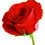 :iconrujerianprincess: