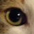 :iconrukasunogo: