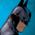 :iconruminus: