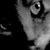:iconrumplenstinski: