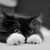 Rumpleteazer01 :iconrumpleteazer01: