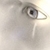 :iconrumstick: