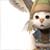 :iconrunaway-cut: