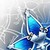 :iconrunedragonc: