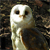 :iconrunespark-overflame: