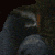 :iconrunforyourlimbs: