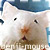:iconrunic: