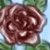 :iconrunkano: