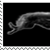 runlikewind1stampplz :iconrunlikewind1stampplz: