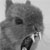 :iconrunning-arse: