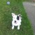 :iconrunningfree1234: