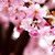 :iconrunningfreespirit: