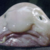 :iconrunninginsanity: