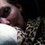:iconrunswpigs: