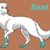 :iconrunt510: