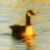 :iconruptured-tranquility: