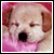 :iconrurisue:
