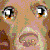 :iconrurounigoku78: