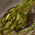 :iconrurutie: