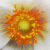 :iconrusao: