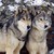 :iconrussianfantasy: