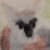 :iconrussianlearner: