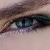 :iconrusskitalia: