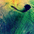 :iconrustlex: