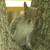:iconrusty9545: