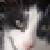:iconrustygilligan:
