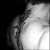 :iconrusu88: