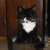 :iconruthann521b: