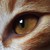:iconruthmoonlight: