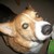 :iconruuku-kun608: