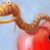 :iconrwhyte: